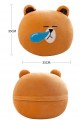 Line Town Kawaii Cute Multifunction Pillow