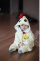 Chicken Baby Animal Pajama