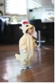 Chicken Baby Animal Pajama