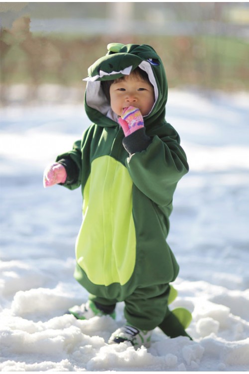 Dinosaur Baby Animal Onesie