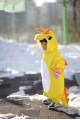 Yellow Dragon  Baby Animal Onesie