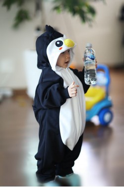 Black Penguin Baby Animal Onesie