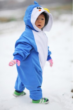 Blue Penguin Baby Animal Onesie