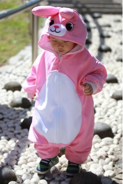 Pink Rabbit Animal Onesie