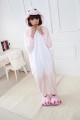 Flannel Pink Dinosaur Kigurumi Lovers Cartoon Onesies