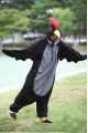 Black Cock Onesie Halloween Costumes