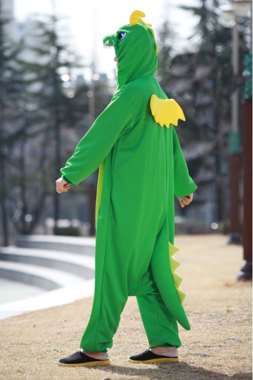 Green Dragon Onesie 2015 Kigurumi Pajamas