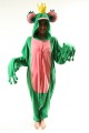 Frog Prince Onesie Kigurumi Pajamas