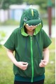 Dinosaur Animal Hoodie