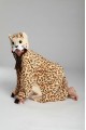 Leopard Onesie Kigurumi Pajamas