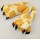 Giraffe Paws Shoes  + $12.95 